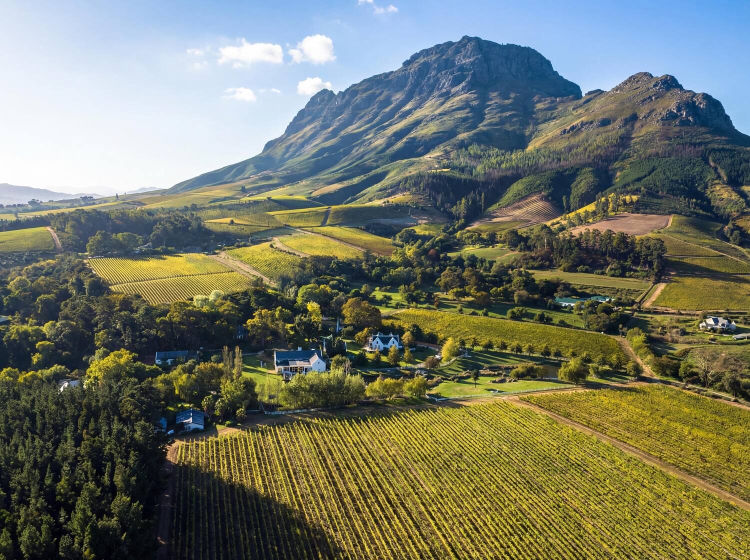 Stellenbosch winelands