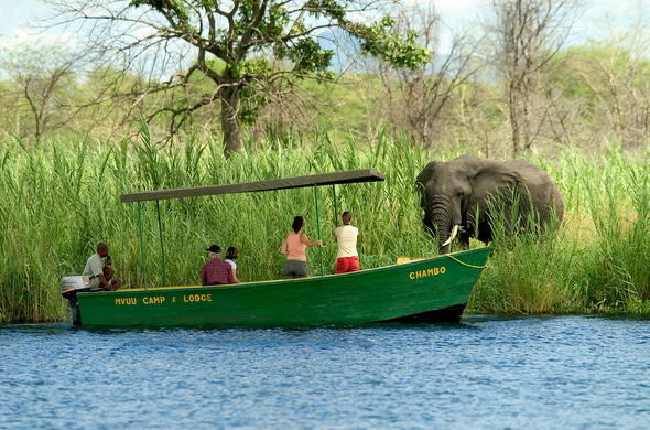 Boat safari on the Shire River in Liwonde